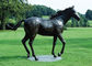 Duża Brązowa Rzeźba Konia, Brązowe Posągi Na Zewnątrz Konia Antyczne Wzory dostawca