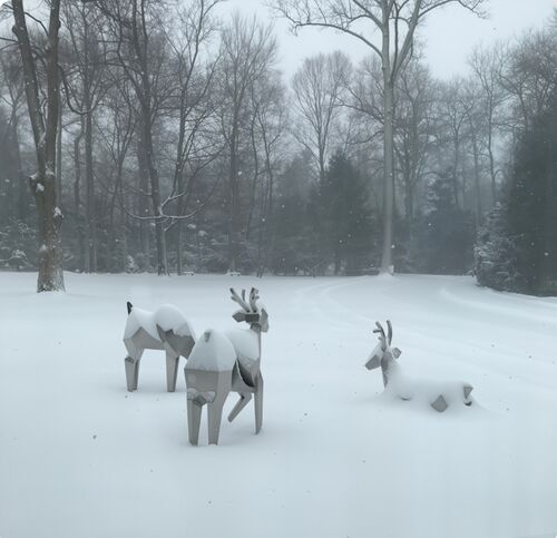 Najnowsze blogi firmy Krystaliczne stado: gdzie natura spotyka geometrię